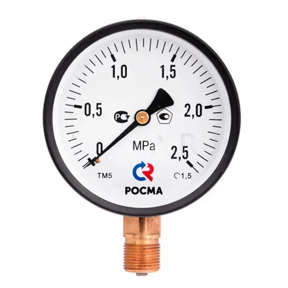 Манометр ТМ-310Р.00(0-1MPa)G1/4.2,5 L= 63мм, радиальное присоед. 2.5 КТ РОСМА