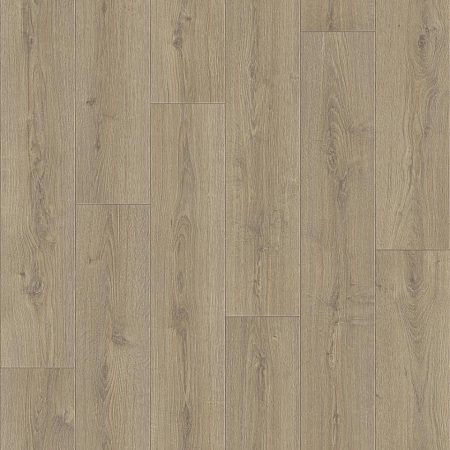 Линолеум Praktika BRUNO-1 3,0 м.(90)